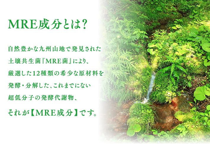 MRE成分とは?