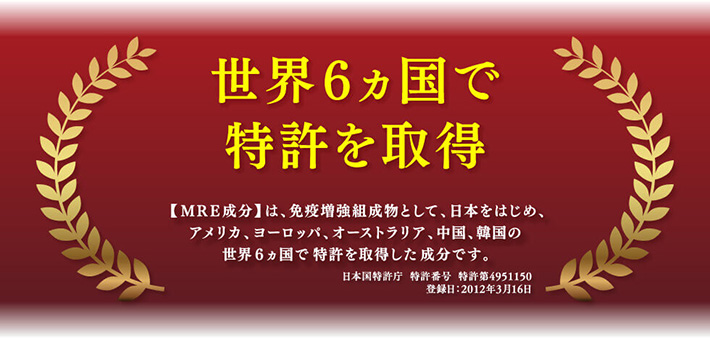 世界6ヶ国で特許を取得