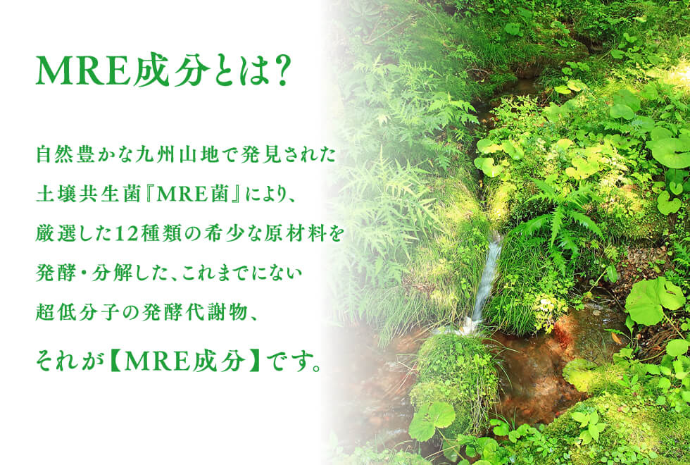 MRE成分とは?