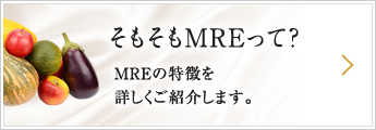 そもそもMREって？