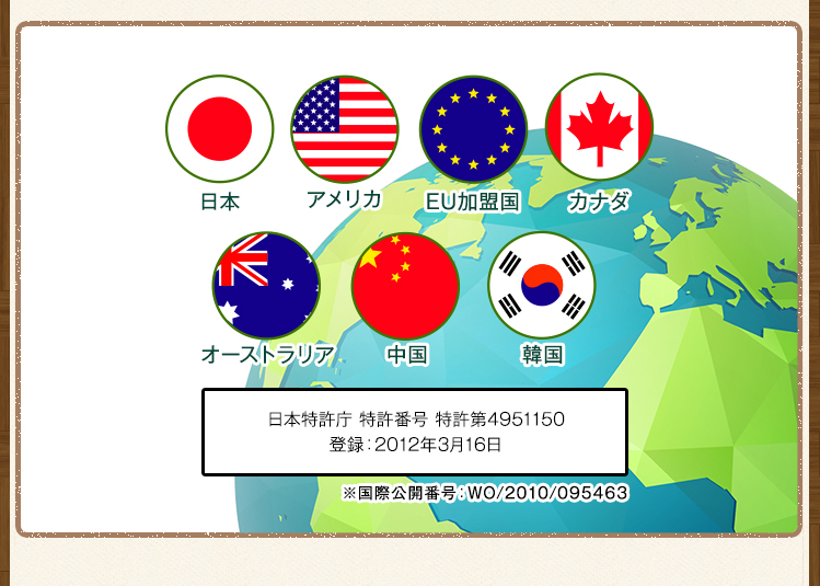 日本特許庁 特許番号 特許第4951150 登録：2012年3月16日 ※国際公開番号：WO/2010/095463