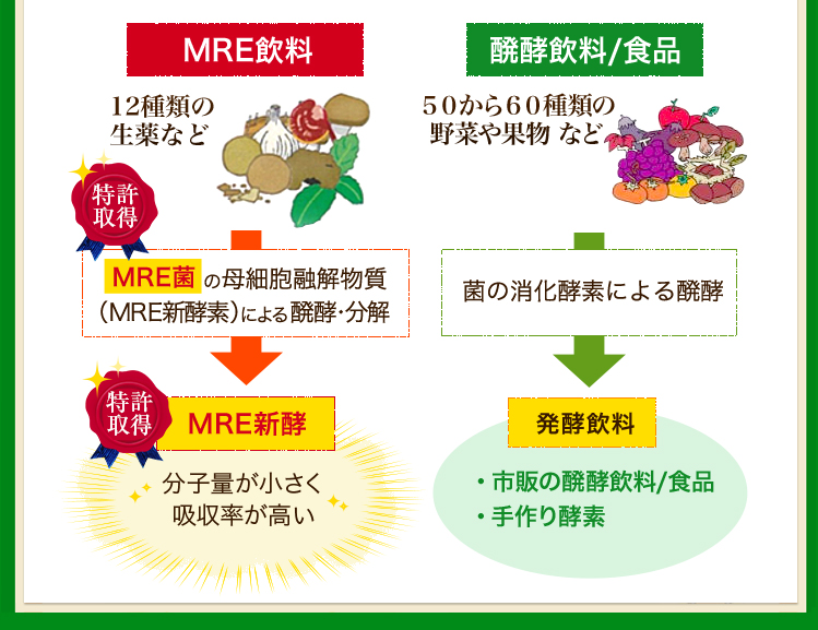 MRE飲料と発酵飲料・食品の比較