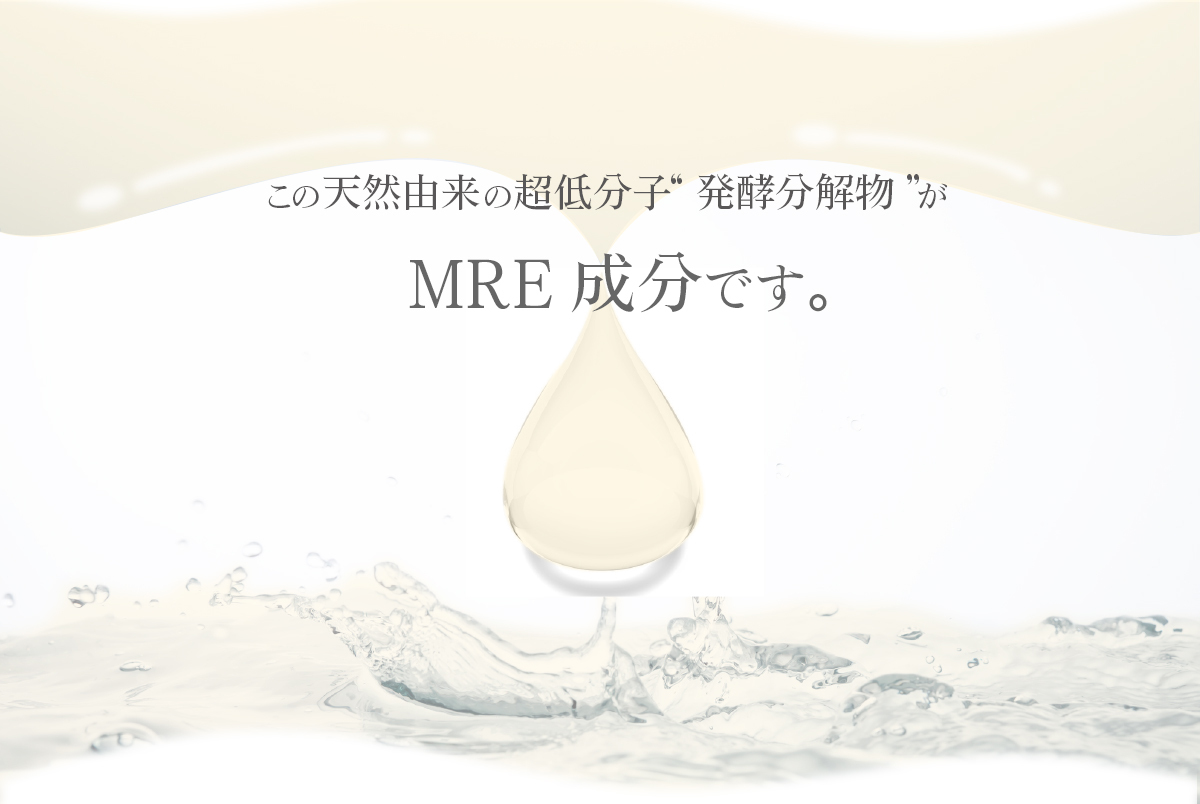 この天然由来の超低分子“発酵分解物”がMRE成分です。