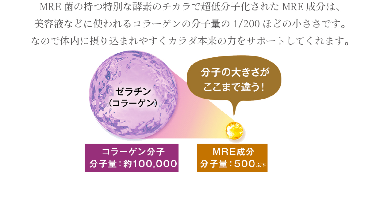 MRE菌の持つ特別な酵素のチカラで超低分子化されたMRE成分は、美容液などに使われるコラーゲンの分子量の1/200ほどの小ささです。なので体内に摂り込まれやすくカラダ本来の力をサポートしてくれます。