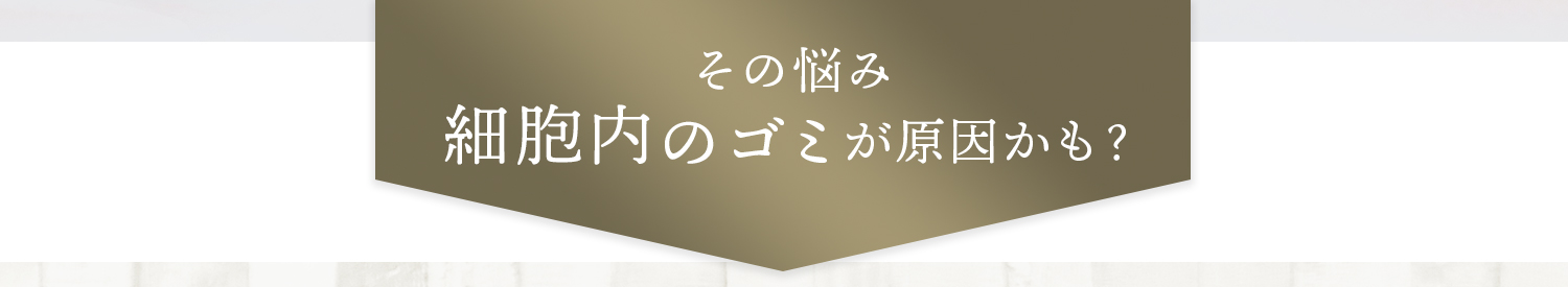 その悩み、細胞内のゴミが原因かも？