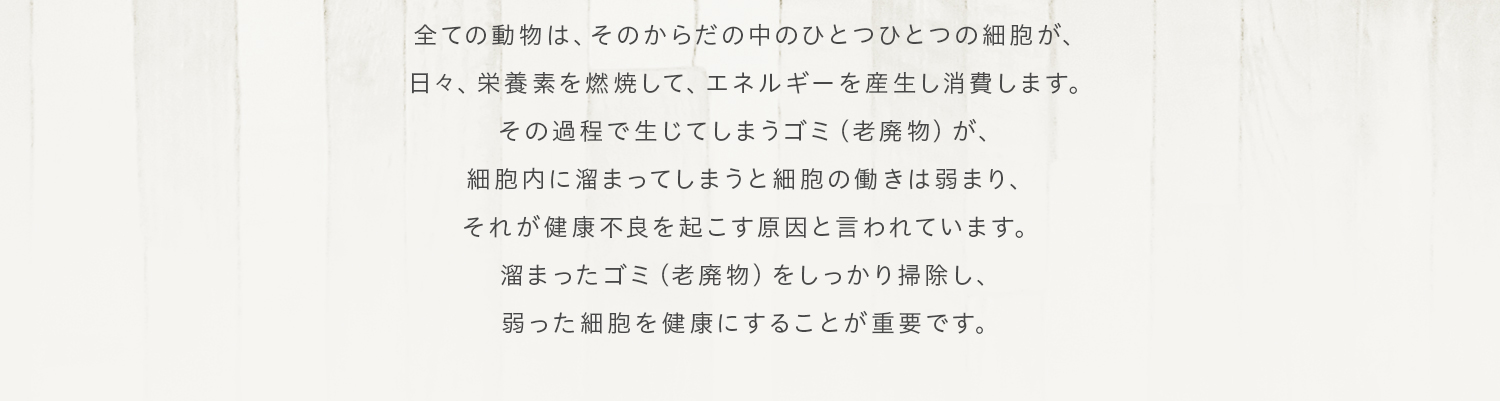 全ての動物は、そのからだの中のひとつひとつの細胞が、日々、栄養素を燃焼して、エネルギーを産生し消費します。その過程で生じてしまうゴミ（老廃物）が、細胞内に溜まってしまうと細胞の働きは弱まり、それが健康不良を起こす原因と言われています。溜まったゴミ（老廃物）をしっかり掃除し、弱った細胞を健康にすることが重要です。