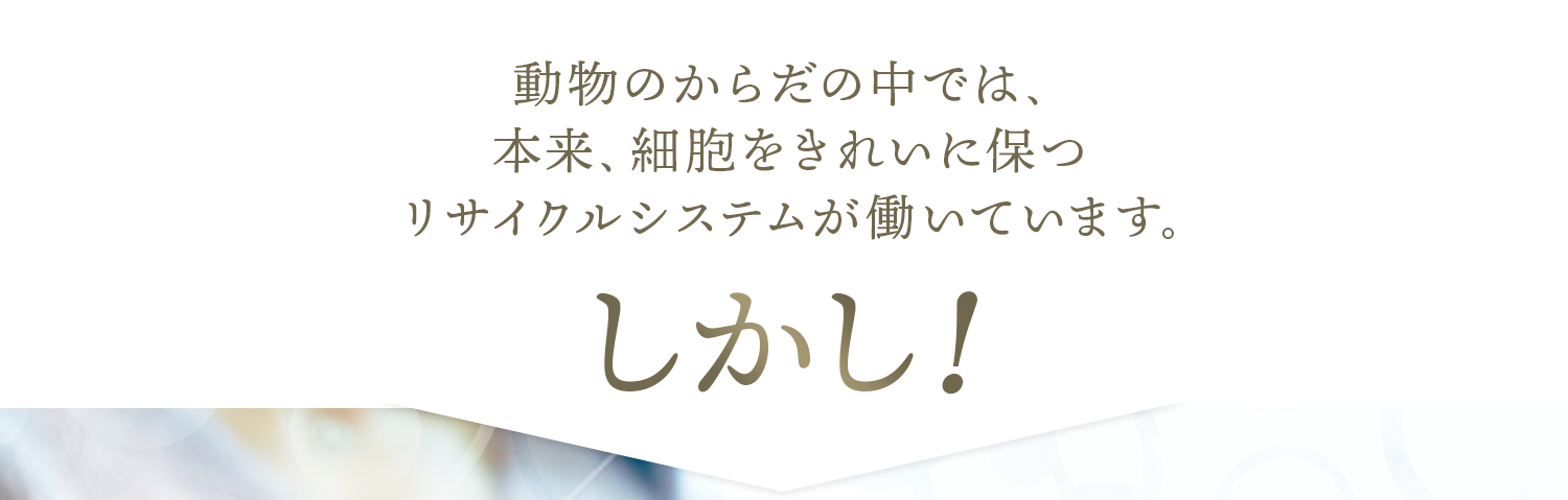 動物のからだの中では、本来、細胞をきれいに保つ リサイクルシステムが働いています。しかし！