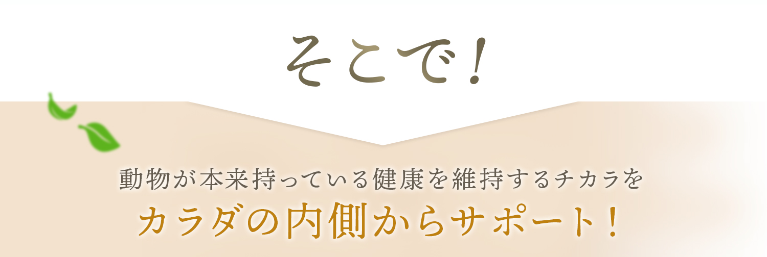 そこで！動物が本来持っている健康を維持するチカラをカラダの内側からサポート！