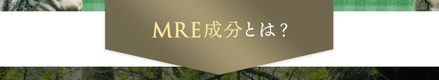 MRE成分とは？