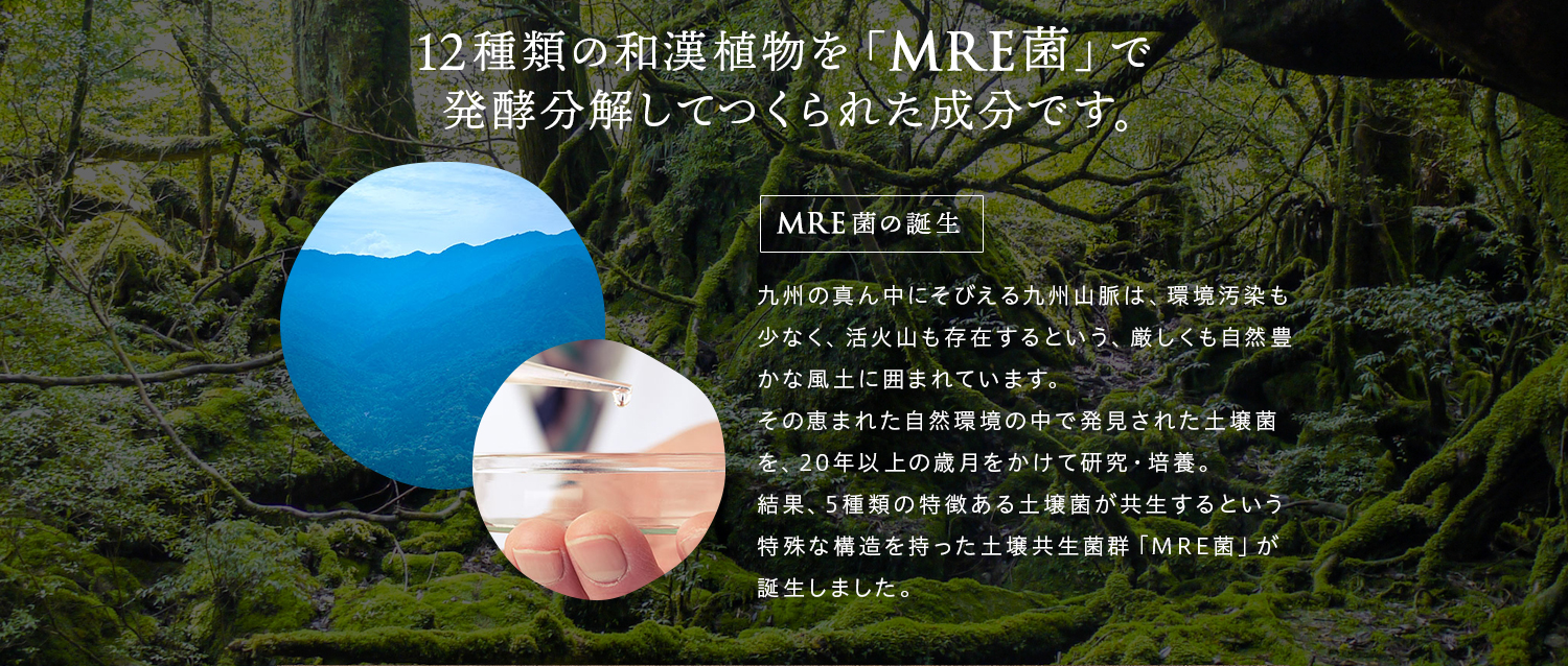 12種類の和漢植物を「MRE菌」で発酵分解してつくられた成分です。