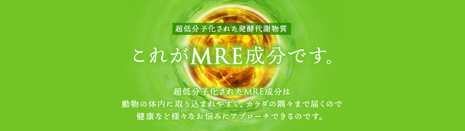 超低分子化された発酵代謝物質 これがMRE成分です。