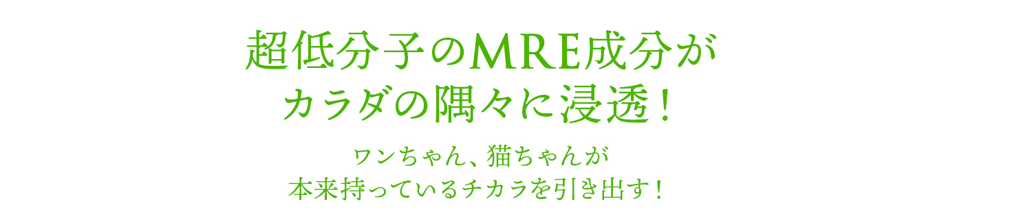 超低分子のMRE成分がカラダの隅々に浸透！ワンちゃん、猫ちゃんが本来持っているチカラを引き出す！