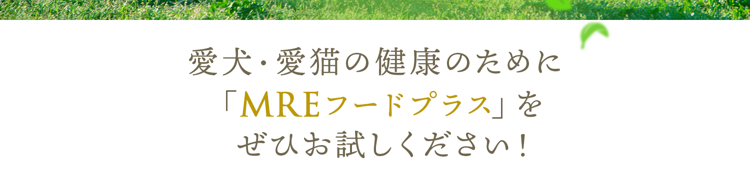 愛犬・愛猫の健康のために「MREフードプラス」をぜひお試しください！