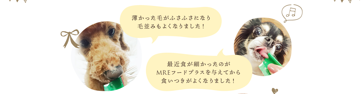 薄かった毛がふさふさになり毛並みもよくなりました！ 最近食が細かったのがMREフードプラスを与えてから食いつきがよくなりました！