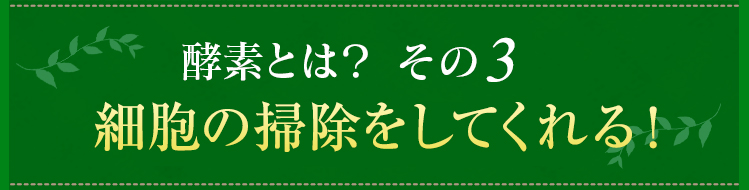 酵素とは？その3　細胞の掃除をしてくれる！