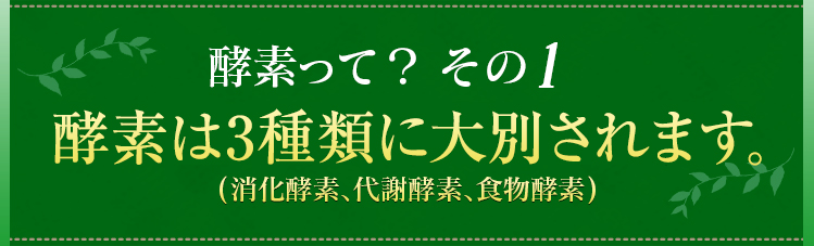 酵素って？その1　酵素は3種類に大別されます。(消化酵素、代謝酵素、食物酵素)