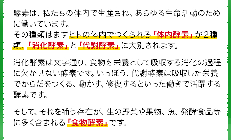 酵素は、私たちの体内で生産され、あらゆる生命活動のために働いています。