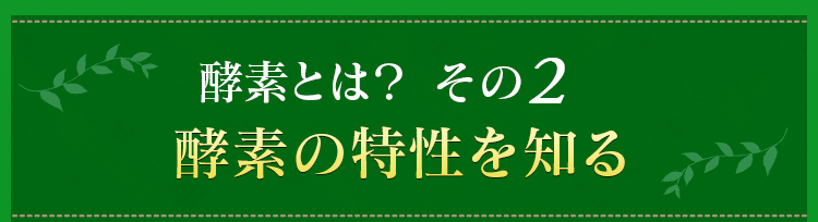 酵素とは？その2　酵素の特性を知る