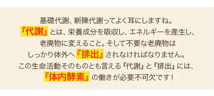 基礎代謝、新陳代謝ってよく耳にしますね。『代謝』とは、栄養成分を吸収し、エネルギーを産生し、老廃物に変えること。そして不要な老廃物はしっかり体外へ『排出』されなければなりません。『体内酵素』の働きが必要不可欠です！