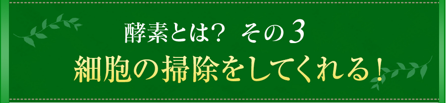 酵素とは？その3　細胞の掃除をしてくれる！