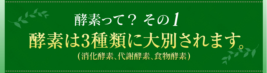 酵素って？その1　酵素は3種類存在します。(消化酵素、代謝酵素、食物酵素)