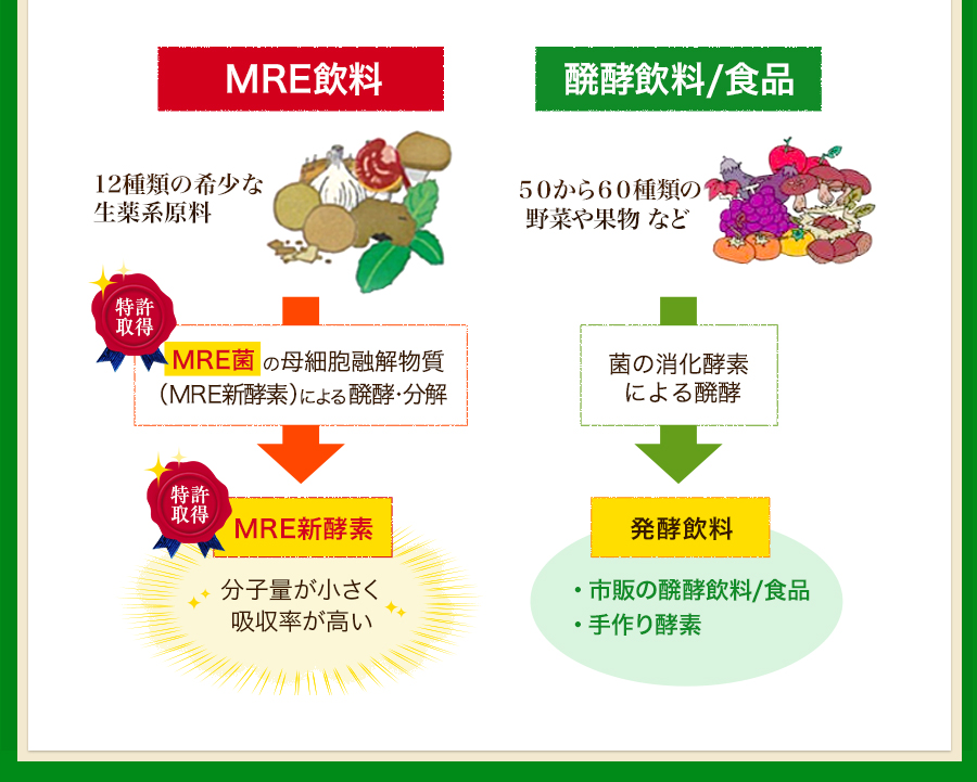 MRE飲料と発酵飲料・食品の比較