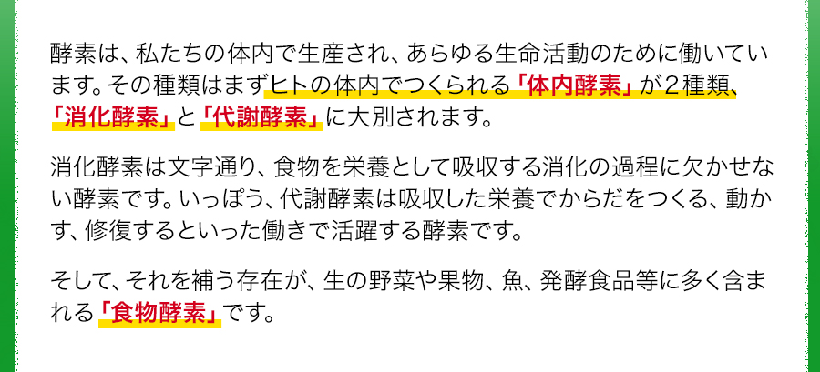 酵素は、私たちの体内で生産され、あらゆる生命活動のために働いています。