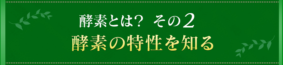 酵素とは？その2　酵素の特性を知る