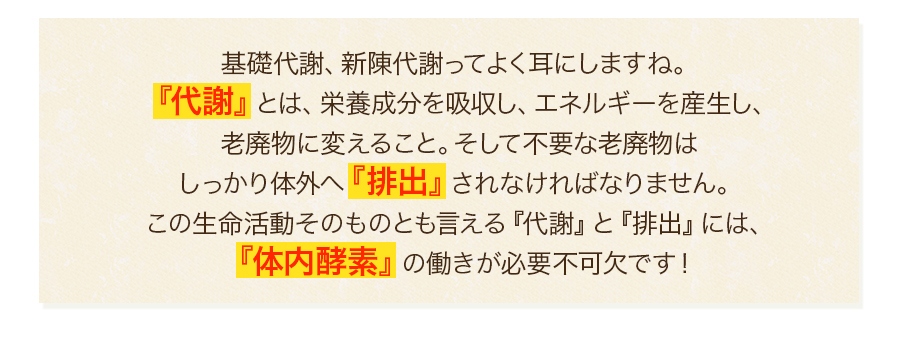 基礎代謝、新陳代謝ってよく耳にしますね。『代謝』とは、栄養成分を吸収し、エネルギーを産生し、老廃物に変えること。そして不要な老廃物はしっかり体外へ『排出』されなければなりません。『体内酵素』の働きが必要不可欠です！