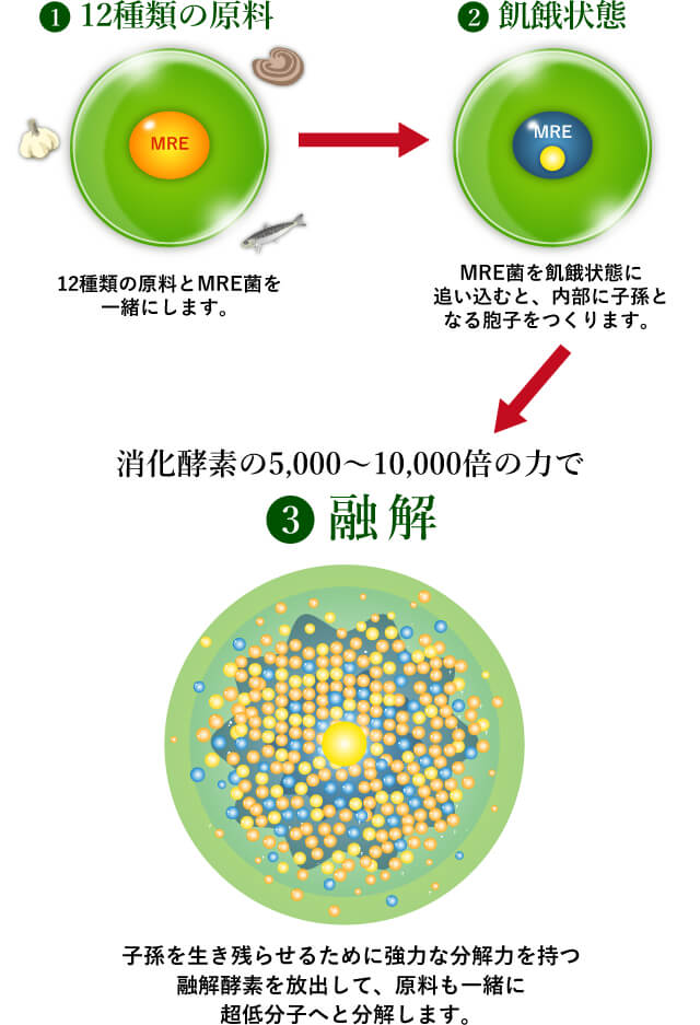 製法