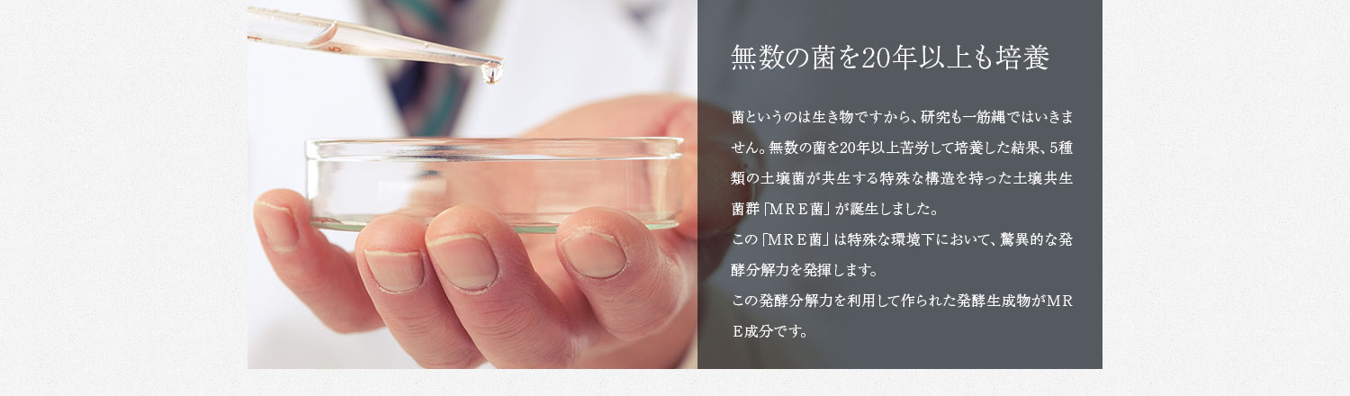 無数の菌を20年以上も培養