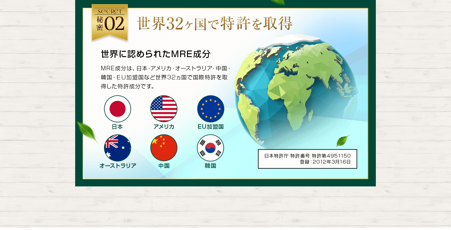 世界32ヶ国で特許を取得